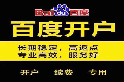 百度推广成本控制，案例深度解析