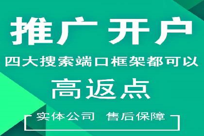 某企业SEM广告投放的ROI提升策略及效果展示